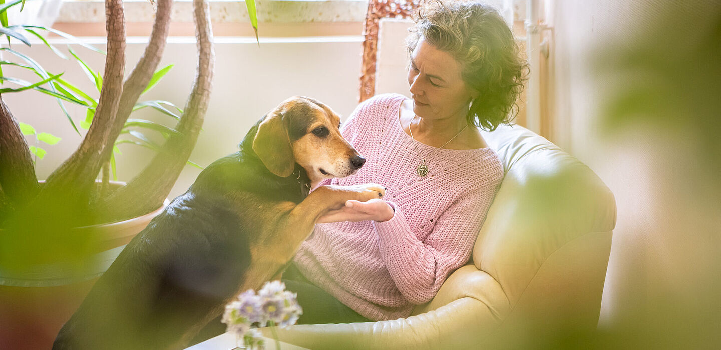 Eine Dame sitzt auf einem Sessel. Ihr Hund ist halb auf ihren Schoß geklettert, sie spricht mit ihm und hält seine Pfote.