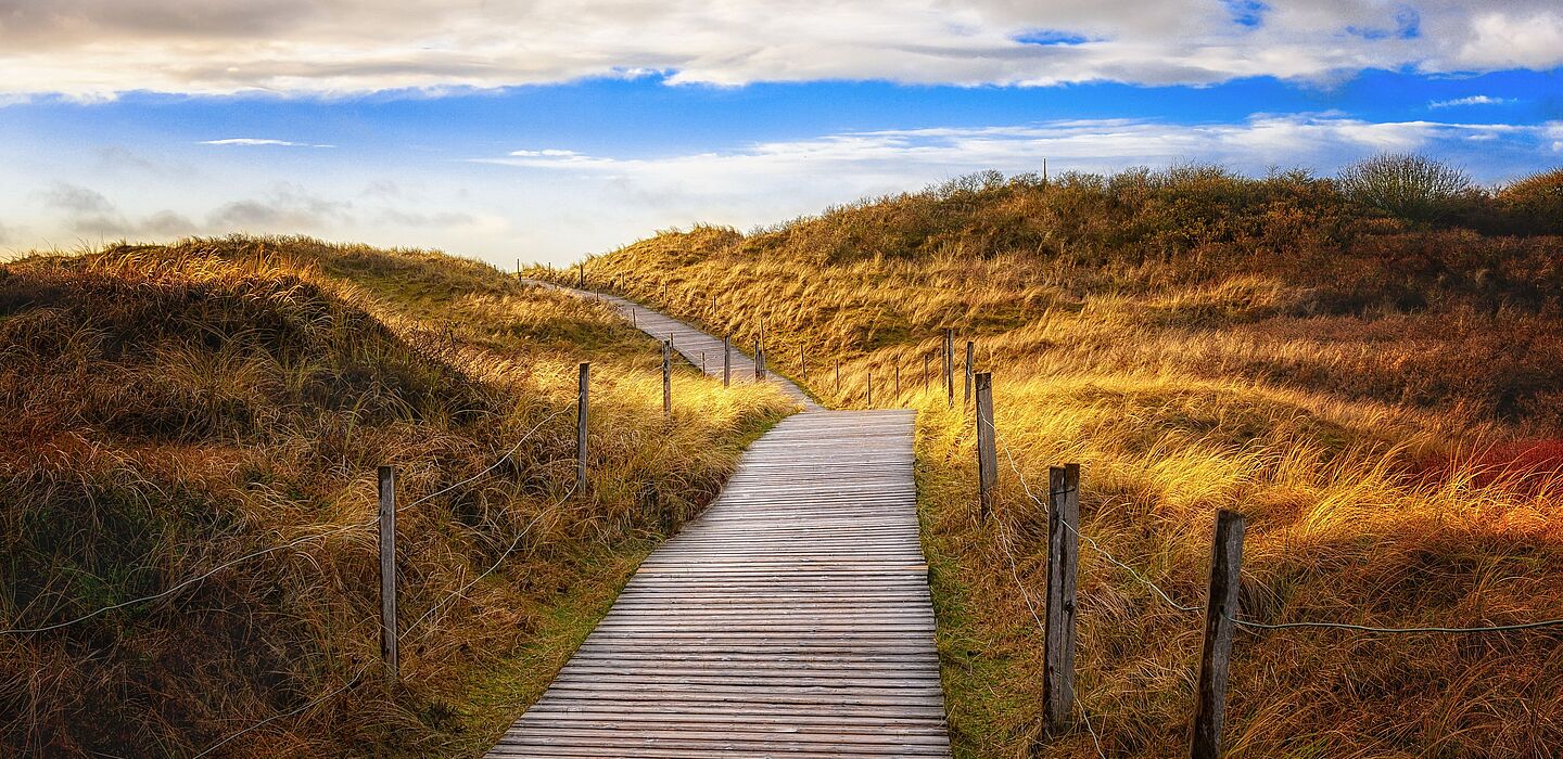 Ein Weg aus Holzplanken führt durch eine mit Strandhafer bewachsene Dünenlandschaft. Der Himmel ist blau, aber mit grau-weißen Wolken zum Teil bedeckt.