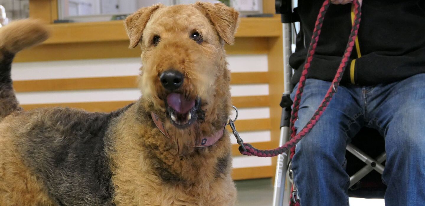 Hund und Bewohner machen sich auf den Weg zum Spaziergang. Der Mann sitzt auf seinem Rollator und hält die Leine in die Hand. Der Hund schaut in die Kamera.